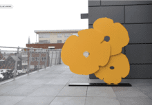 Big Yellow Poppies, 2015, painted aluminum_Asheville Art Museum Rooftop Terrace