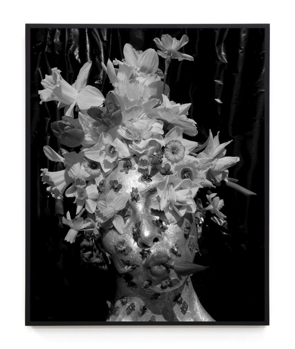 Martine Gutierrez Masking, Daffodil, 2021 C-print mounted on Dibond 30 x 24 inches (76.2 x 61 cm) Edition of 8