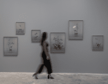 Installation view of solo exhibition "Rogue States", Contemporary Art Museum St. Louis, 2019