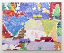 Tim Braden Tapestry (Color Complications), 2020 Oil on canvas 47 1/2 x 59 inches (120.7 x 149.9 cm)