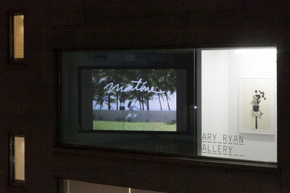 Martine Gutierrez, Martine Part IV installed in RLWindow, 2017