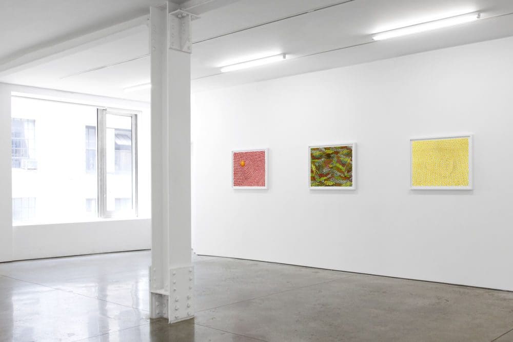 Food Still Lifes installed
