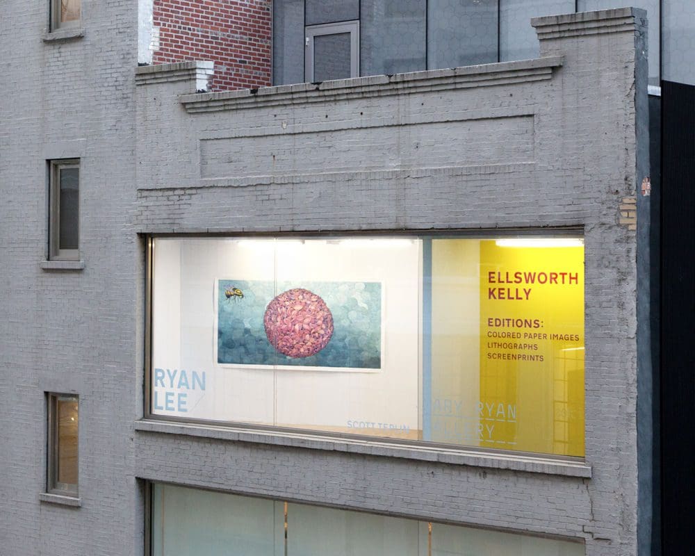 Pink Flowerball installed in RLWindow, 2018