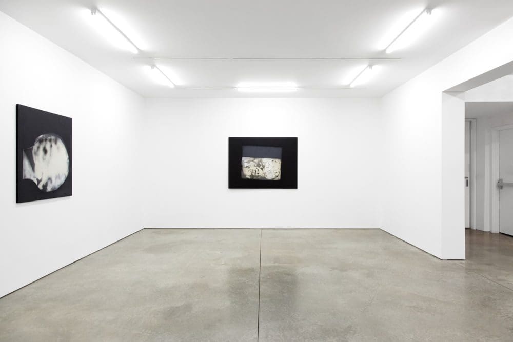 Installation View - Napalm Elegies