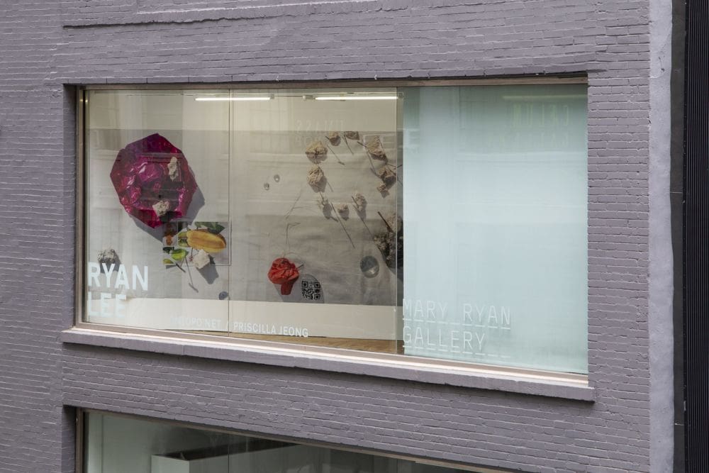 RYAN LEE Gallery - ONTOPO