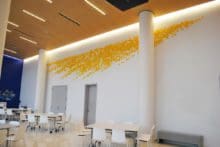 Installation view of Ray at Columbia Medical School, NY