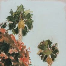 Palm Tree, 2019