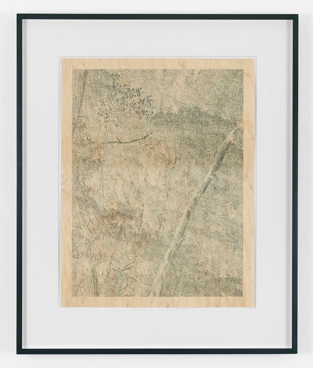 Trees II, 2010 Archival pigment print on wood veneer 30 1/2 x 25 1/4 inches (77.5 x 64.1 cm) Edition of 12