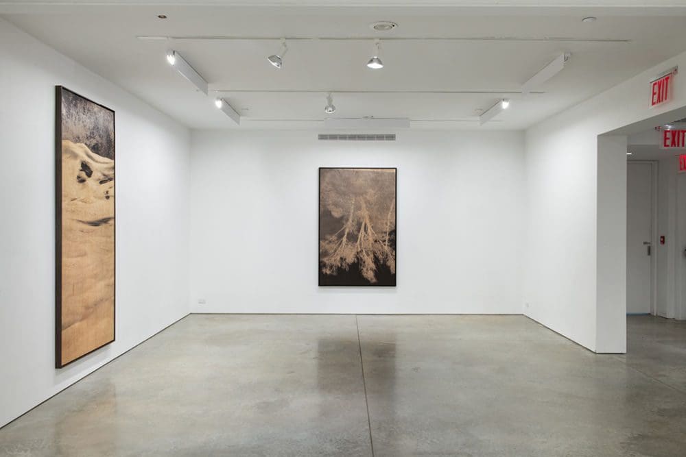 Installation view at RYAN LEE