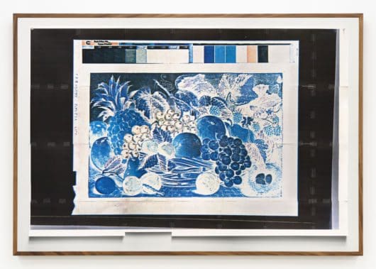 Stephanie Syjuco Fruits of Plenty: Inverted/Oriental (Warshaw Collection of Business Americana, circa 1900, National Museum of American History, Archives Center, NMAH.AC.0060.S01.01.Warshaw), 2021 Archival pigment inkjet 41 x 61 inches (104.1 x 154.9 cm)