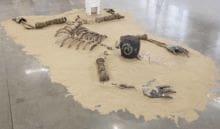 Manal Kara Thing 3, 2020 Ceramic, photographic prints on fabric, vinyl, chain, plastic with wire and vegetal material (cottonwood fluff, maple samaras, assorted mushrooms, oak leaves) sealed in plastic Dimensions vary