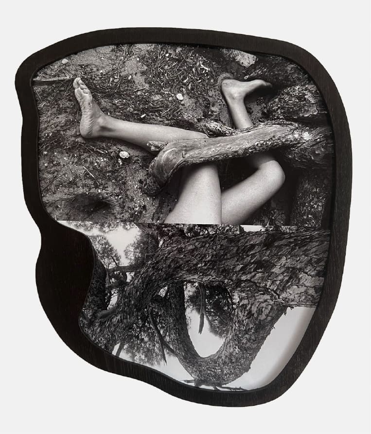 Maria Antelman Tree Talker, 2023 Archival pigment print & artist oak frame Edition of 3