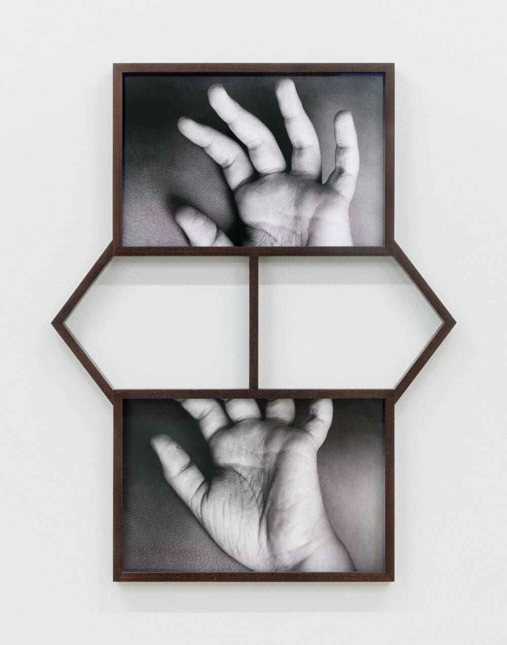 Maria Antelman Life Lines, 2020 Archival pigment prints and artist walnut frame Edition of 3