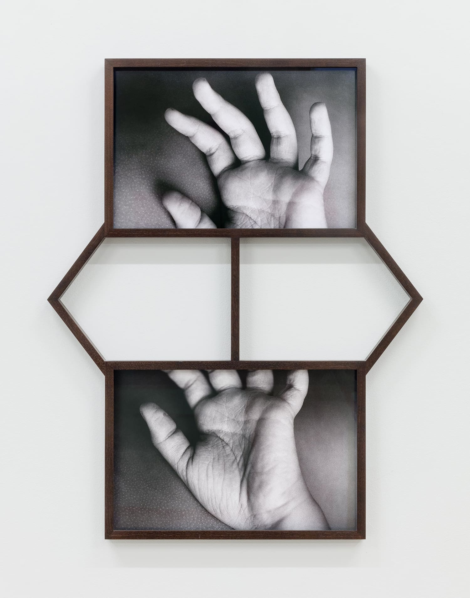 Maria Antelman Life Lines, 2020 Archival pigment prints and artist walnut frame Edition of 3
