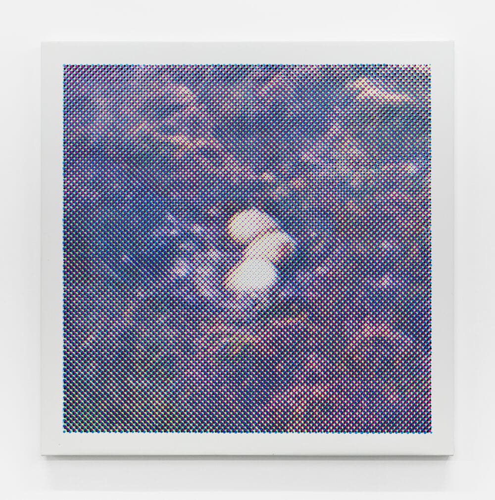 Anne-Karin Furunes Eider Nest in Colesbay, Svalbard, 1907-2023, 2023 Acrylic on canvas, perforated 58 3/4 x 58 3/8 inches (149.2 x 148.3 cm)
