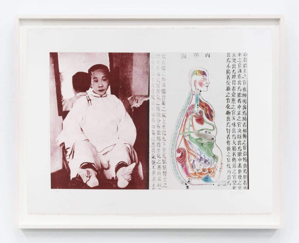 Hung Liu Chinese Bonsai, 1990 Photolithograph with hand coloring Image Dimensions: 16 1/2 x 24 1/4 inches (41.9 x 61.6 cm) Paper Dimensions: 22 5/8 x 30 1/16 inches (57.2 x 76.2 cm) Framed Dimensions: 25 1/4 x 32 11/16 inches (64.1 x 83 cm)