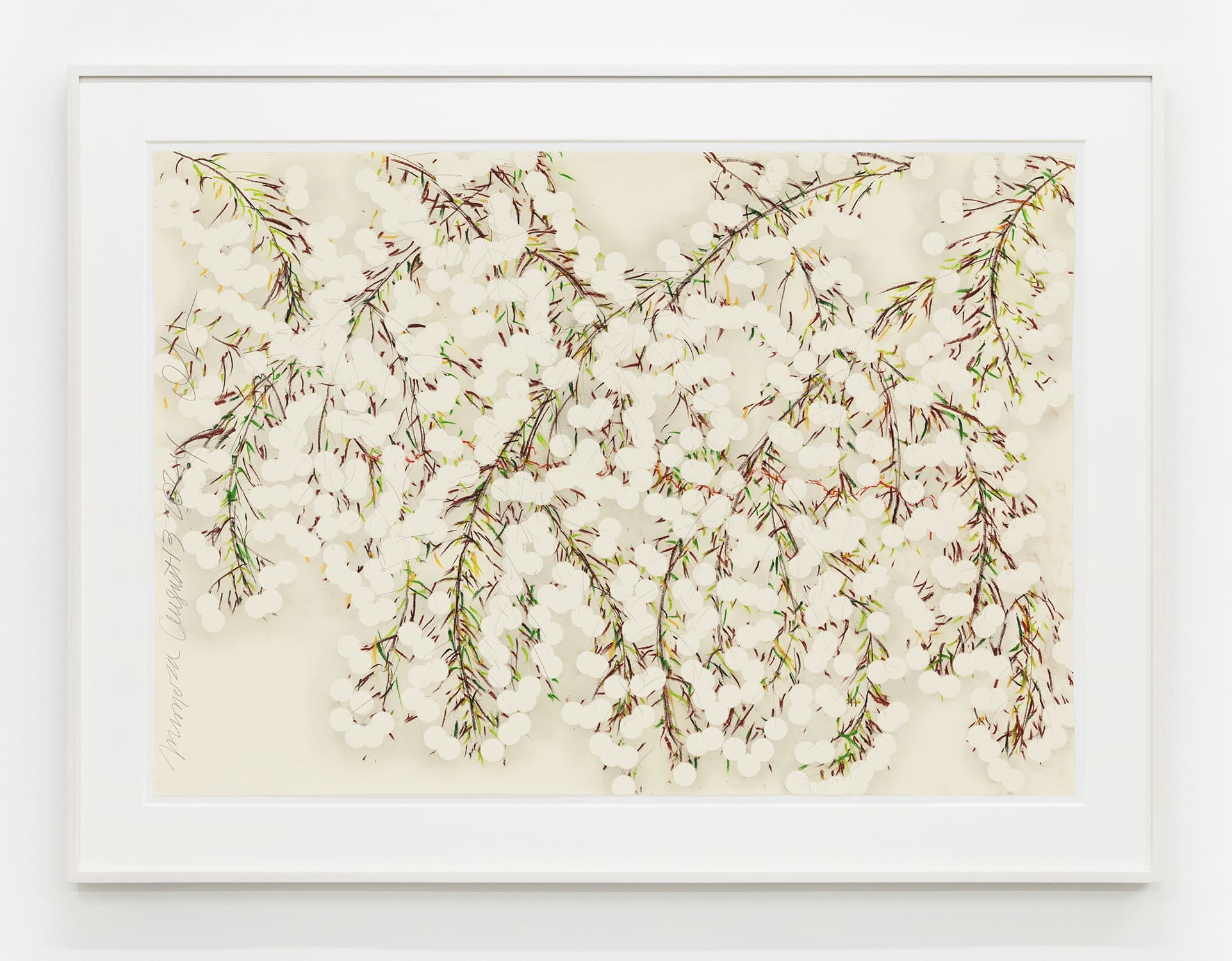 Donald Sultan Mimosa Aug 13 2024, 2024 Graphite and conté 27 1/2 x 39 1/4 inches (69.9 x 99.7 cm)