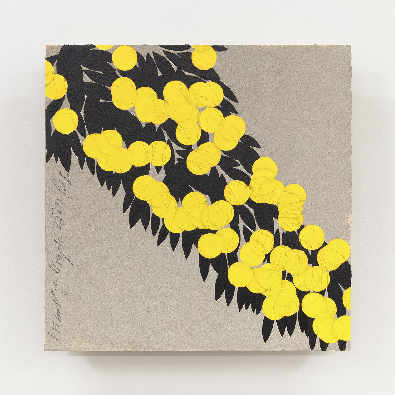 Donald Sultan Mimosa May 16 2024a, 2024 Enamel, cement, silver spray paint, graphite on masonite 24 x 24 inches (61 x 61 cm)