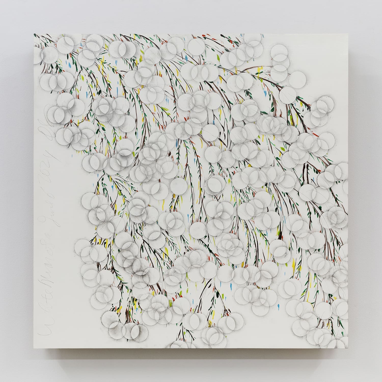 Donald Sultan White Mimosa June 6 2024, 2024 Graphite and enamel on masonite 36 x 36 inches (91.4 x 91.4 cm)