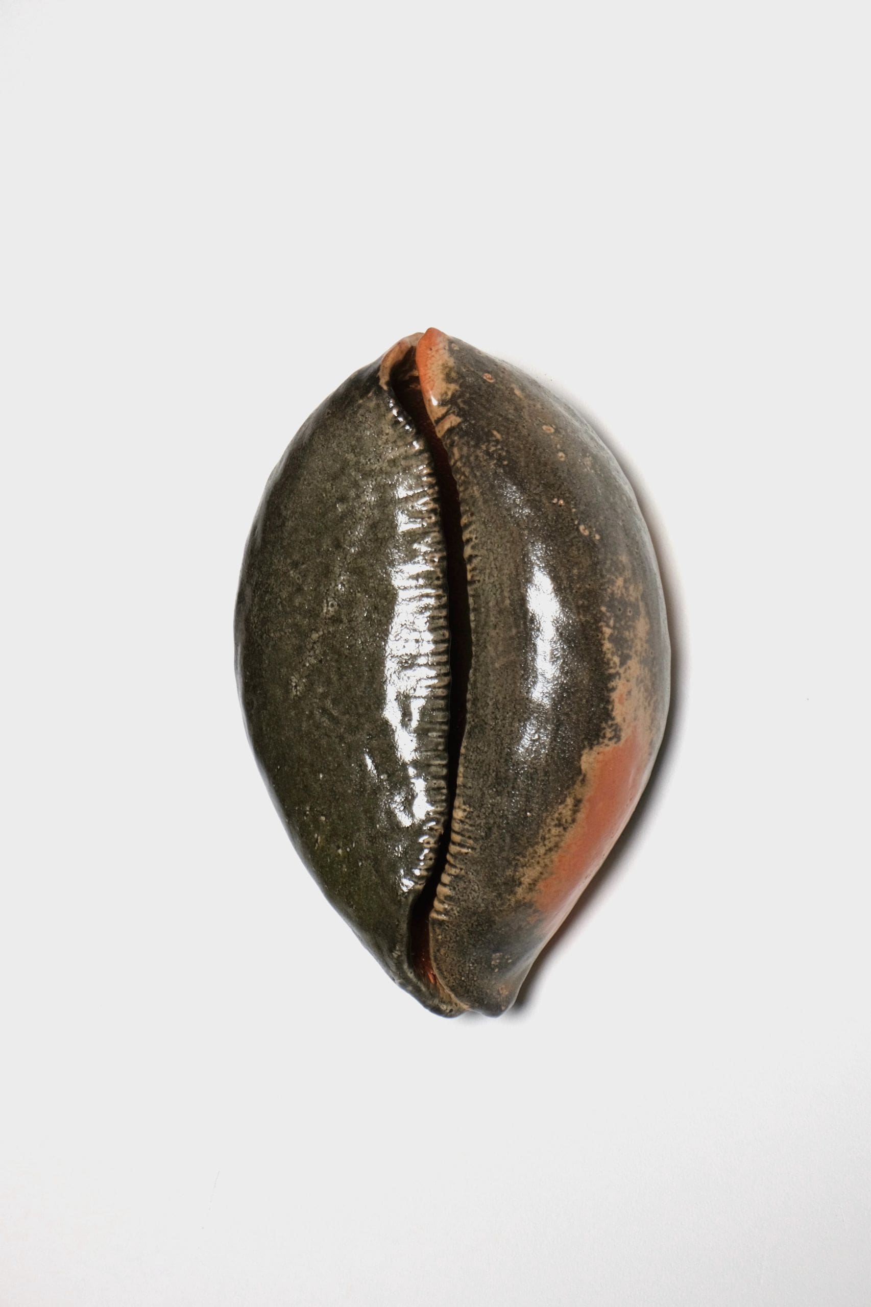 Dane Nakama calls from home (cowrie), 2026 High-fire ceramic and audio equipment 13 x 9 x 5 inches (33 x 22.9 x 12.7 cm)